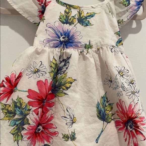 Baby Gap- Cotton Flutter Sleeve Dress 6-12 Month - Picture 6 of 7